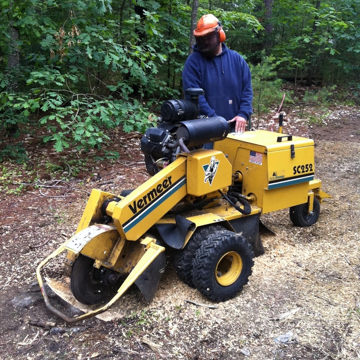 Stump Grinding