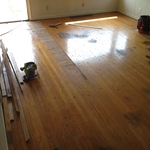 This is Pet Urine damage to hardwood (Before)
