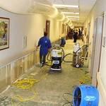 Sewer backup: 2007