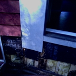 discovered rotten wood