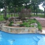 Contemporary Pool - Red Blue Large Trees Around Pool