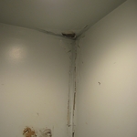 old water damage