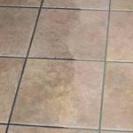 Elite Floor & Furniture Cleaning Tile & Grout