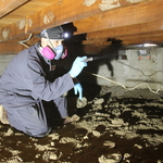 Inspecting crawlspace
