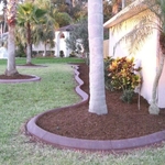 Curbs - Palm Coast