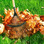 Clean up