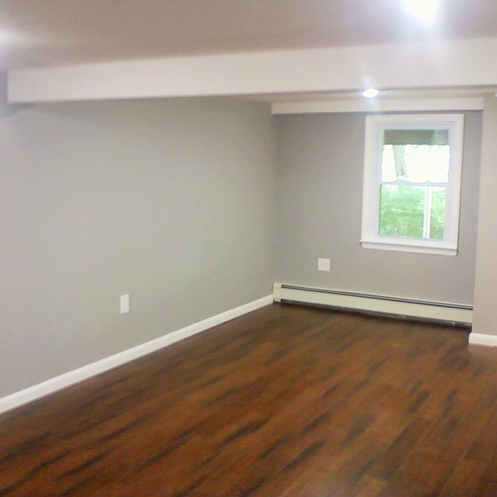 Monica`s basement