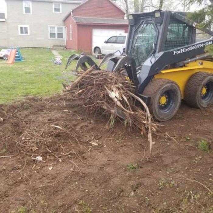 Skid steer root raking