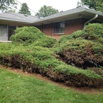 Back of House 2
