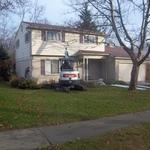 front yard diging up tree root entering