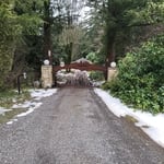 Artistic Gate