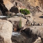 Swim Pond Waterfall
