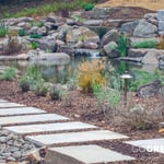 Swim Ponds + Waterscapes