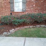 lawn care