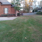 leaves remover