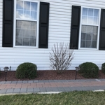 Front garden make over
