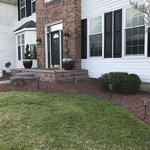 Front garden make over