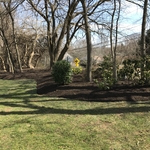 Back Yard Garden