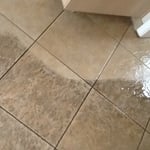 10 years of embedment