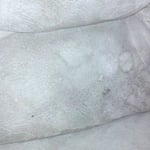 Soiled Upholstered Sofa