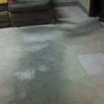 Family room carpet before cleaning