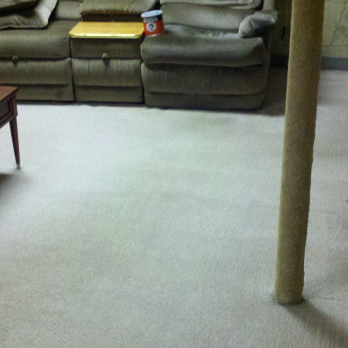 Family Room carper after Cleaning