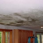 Mold