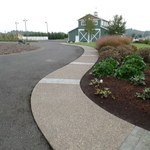 Stamped Concrete Driveway
