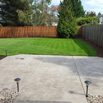 New irrigation and lawn