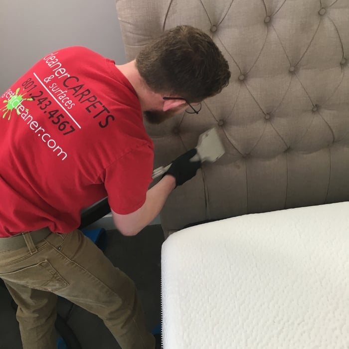 Upholstery Cleaning