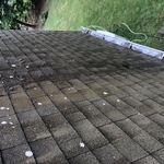 Roof Washing