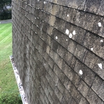 Roof Washing