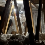 Encapsulation of Mold after treatment