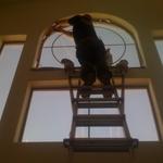 Home Tint Summerlin