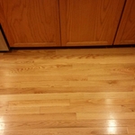 Floors after the repair done