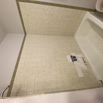 Bathroom before gut-out