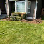 Stump Grinding Lynnwood