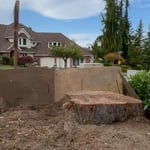 Stump grinding Mukilteo