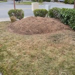 Stump removal Mukilteo