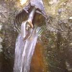 Was clogged. Not anymore!