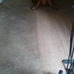 APARTMENT IN GLEN BURNIE