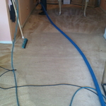 20 YEAR OLD RUG BEFOR AND AFTER