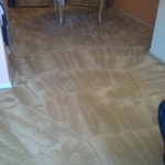 20 YEAR OLD RUG LOOKS LIKE NEW AND SMELLS GREAT