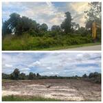 Land Clear in Naples