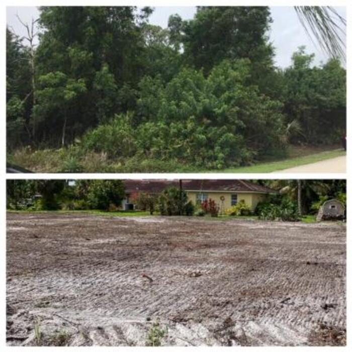 Land Clear in Fort Myers