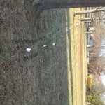 a nice 50 degree day in January!