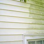 ALGE REMOVER