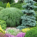 Landscaped
