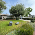 Project Photos