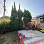 Project Photos